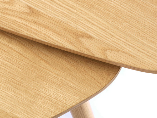 Loff Design Salontafel Albany - 100 x 70 cm - Eiken - Set van 2 - vtwonen shop