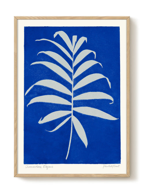 PrintedPlant - Chamaedorea - PSTR studio Kunst Poster - vtwonen shop