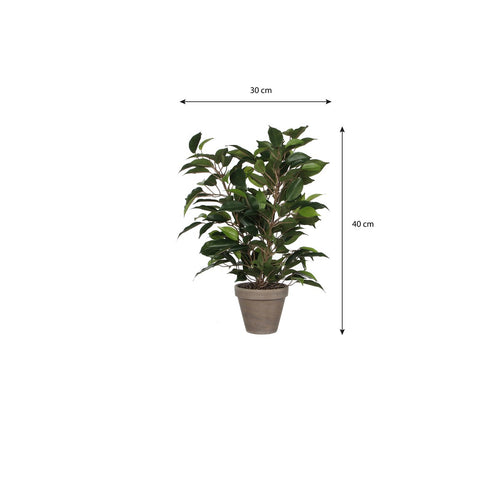 Mica Decorations Ficus Natasja Kunstplant in Bloempot Stan - H40 x Ø30 cm - Groen