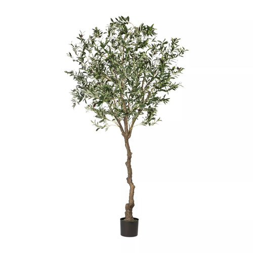 Flourify kunstplant - Olijfboom - 240 cm