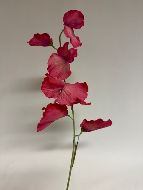 My Flowers.shop Roze lathyrus zijden bloem | Lengte 50 centimeter | Per stuk - vtwonen shop