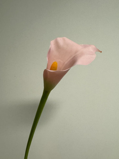 My Flowers.shop Roze calla zijden bloem | Lengte 50 centimeter | Per stuk - vtwonen shop