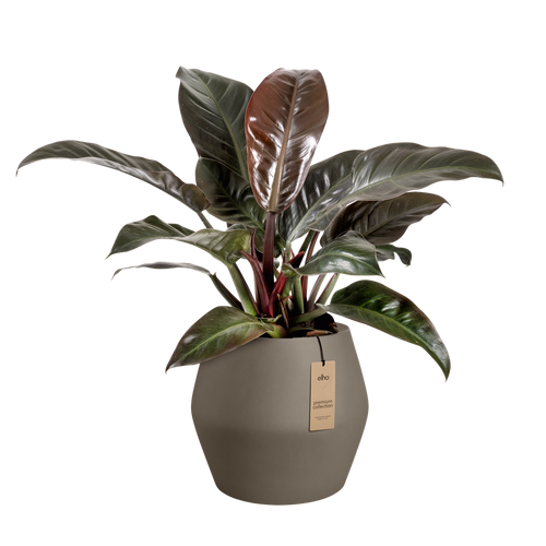 elho june split low 46 burnt umber | Bloempot |Premium statementdesign