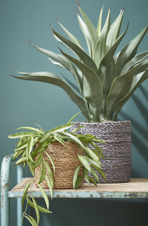 Mica Decorations Atlantic Plantenmand - Set van 2 - H26 x Ø30 cm - Lichtbruin - vtwonen shop