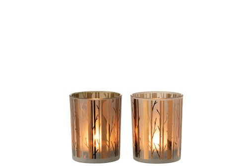 J-Line windlicht Boom - glas - bruin - medium - 2 stuks - vtwonen shop
