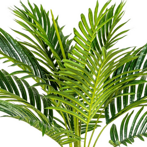 Flourify kunstplant - Kentiapalm - 100 cm - vtwonen shop