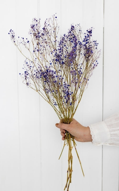 My Flowers.shop Paars gedroogd Gipskruid | Paarse Gypsophila droogbloemen |  Lengte ± 60 cm | Per bos van 5 takken - vtwonen shop