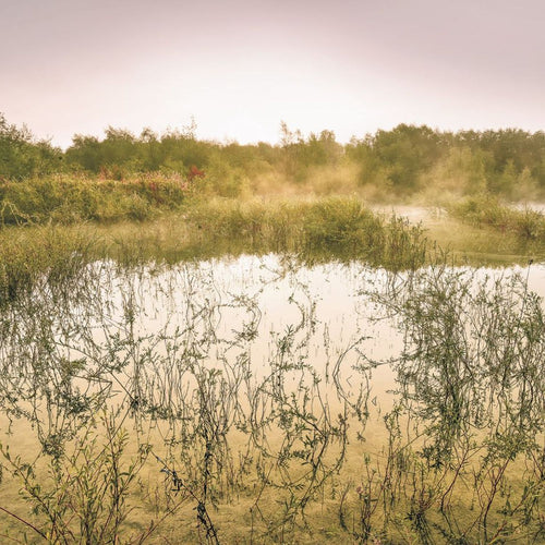 Sanders & Sanders fotobehang landschap met water groen - 400 x 250 cm - 612532