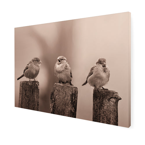 Art for the Home Buitencanvas - Vroege Vogels - Sepia - 50x70cm - vtwonen shop