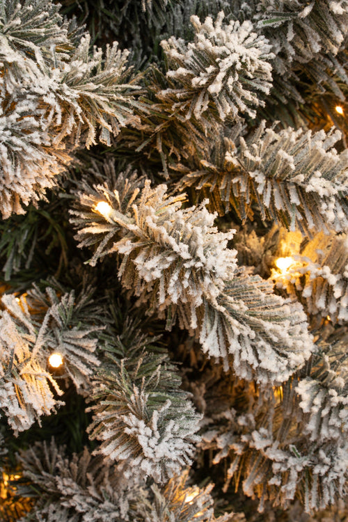 Black Box Trees Charlton Smalle Kunstkerstboom met Warm Witte LED Verlichting - H260 x Ø63 cm - Groen Frosted - vtwonen shop