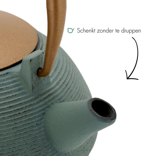 Bredemeijer - Theepot Sakura 1,2L gietijzer blauw