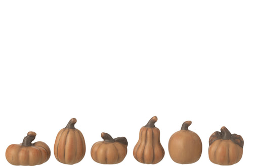 J-Line decoratie Pompoen - porselein - bruin - doos van 6