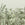 Sanders & Sanders fotobehang palmbladeren grijs - 424 x 280 cm - 640920