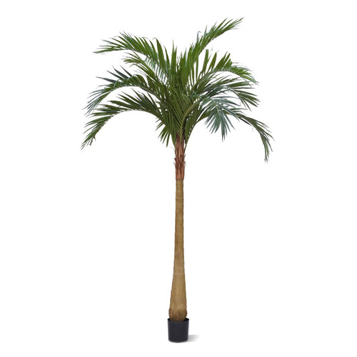 Maxifleur Majesty kunstpalm x10 YG-Trunk 300cm
