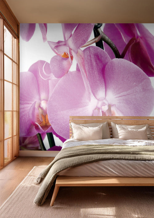 Sanders & Sanders fotobehang bloemen roze - 360 x 254 cm - 600366