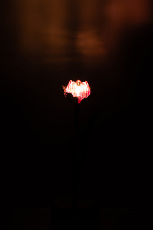 J-Line lamp Bloem - ijzer - zwart/roze - small - LED lichtjes