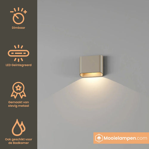Artdelight Wandlamp Diaz 1L - Champagne