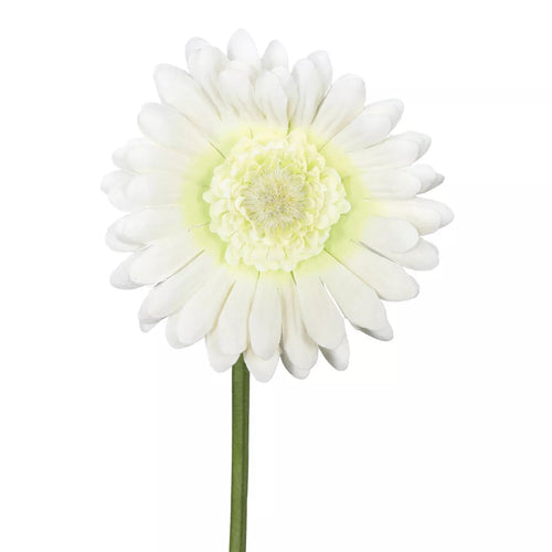 Flourify - Kunstbloem - Gerbera - 50 cm - Bundel van 14 stuks - vtwonen shop