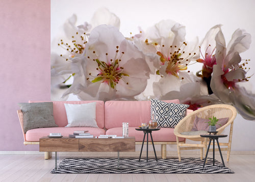 Sanders & Sanders fotobehang bloemen wit en roze - 360 x 270 cm - 600459 - vtwonen shop