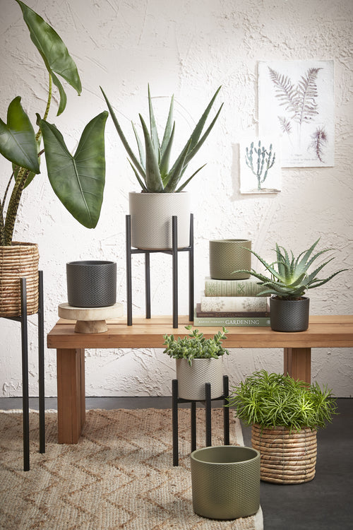 Mica Decorations Ascot Plantenstandaard - L24 x B24 x H55 cm - Metaal - Zwart - vtwonen shop