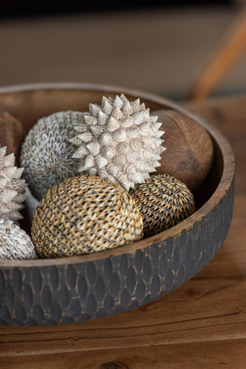 J-Line decoratie Bal Noa - schelpen - bruin - small - 2 stuks - vtwonen shop