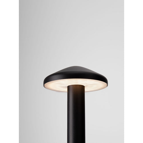 Nova Luce NEMO 20 cm buitenpaal donker antraciet LED 5W 424lm 3000K IP65