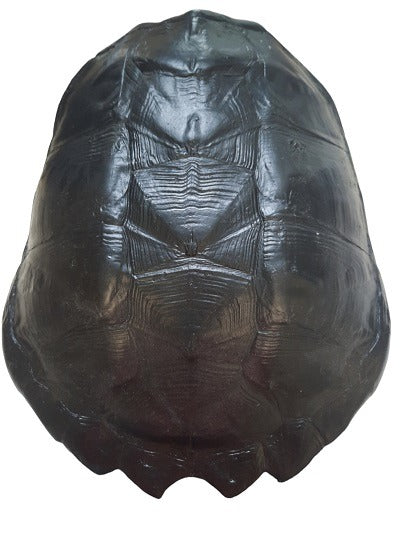 FurniLux Katana Large Zwart - Schildpad - 28x12x57cm - vtwonen shop