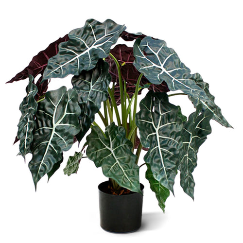 Maxifleur Alocasia kunstplant 75cm