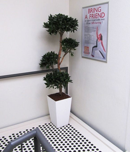 Maxifleur Laurier deluxe x4 kunstboom 170cm