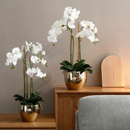 Sia Deco Orchidee Compositie Met Vaas - wit - goud - H69 - vtwonen shop