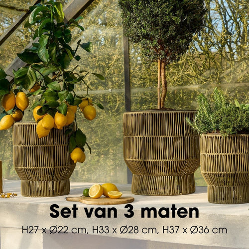 Mica Decorations Peta Bloempot op Standaard voor Buiten – Set van 3 – Plantenpot voor Bloemen en Buitenplanten – Bloempotten voor Buiten – Groen