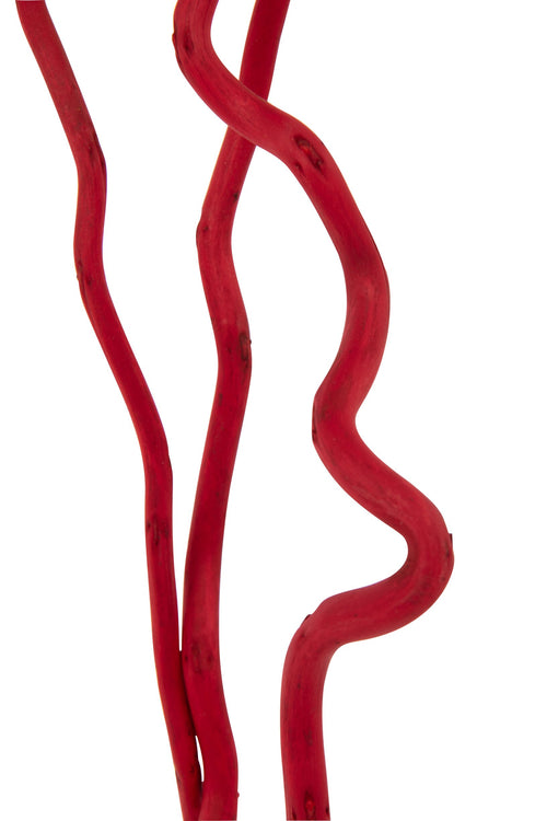J-Line decoratie tak - riet - rood - medium - set van 3