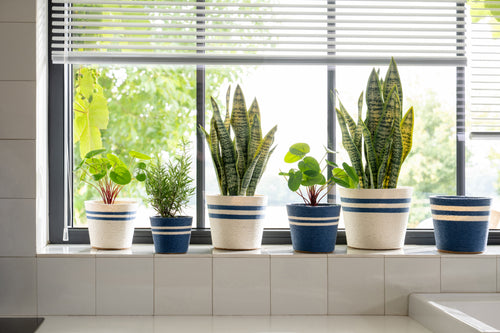 J-Line bloempot Gestreept - papier - wit/blauw - large - set van 2