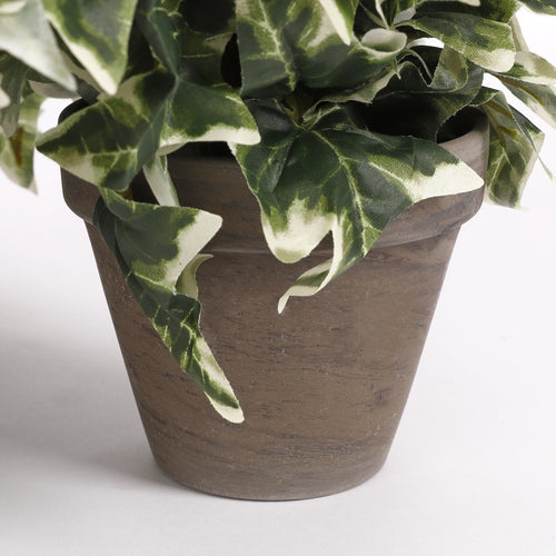 Mica Decorations Hedera Kunstplant in Bloempot Stan - H45 x Ø25 cm - Groen Bont