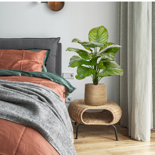 Maxifleur Calathea Fasciata kunstplant 70cm