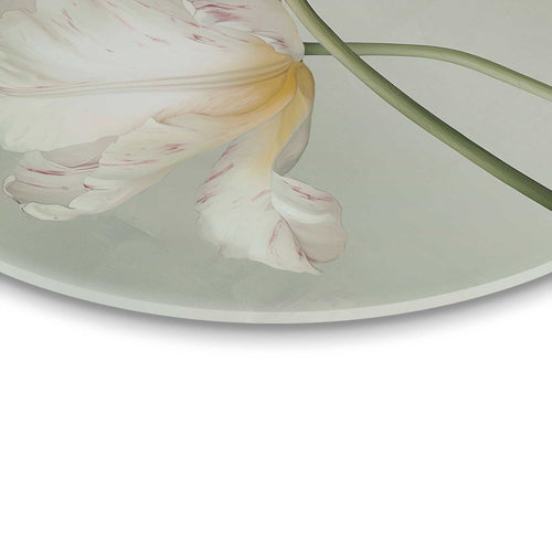 Reinders Tulpen glasschilderij -  groen - woonkamer - Ø 50cm