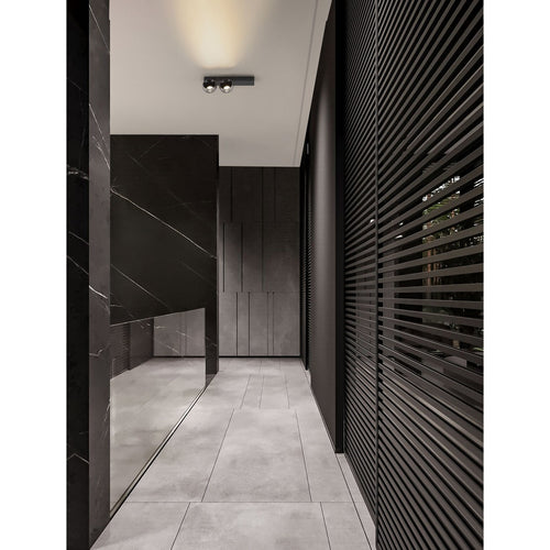 Nova Luce LUSA Dubbele plafondspot in mistig nikkel, zwart, Triac dimbare LED 21W 1540lm 3000K