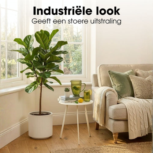 Mica Decorations Seatle Bijzettafel Rond voor Buiten - Koffietafel - Salontafel Buiten - Ook als Plantentafeltje of Plantenstandaard - Metaal - 38 x