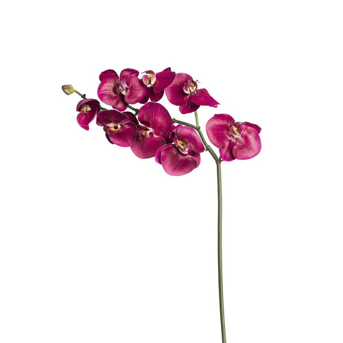 Sia Deco Orchidee Phalaenopsis Steel Kunstmatig - fuchsia - H87 - vtwonen shop