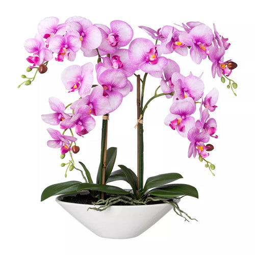 Flourify - Kunstbloem - Orchidee - 53 cm