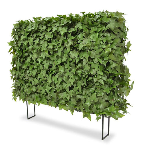 Maxifleur Hedera kunstheg 80x25x56cm - UV bestendig