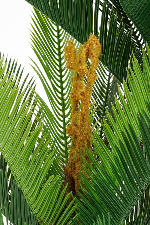 Mica Decorations Cycas Palm Kunstplant - H150 x Ø100 cm - Groen - vtwonen shop