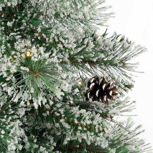 Black Box Trees Vandans Kerstboom met Verlichting Led - Groen Frosted Warm Wit - op Batterij en met Timerfunctie - h120xd60cm