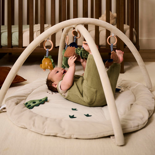 Petite Amélie Babygym DINO