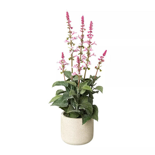 Flourify - Kunstplant - Salie - 45 cm - vtwonen shop