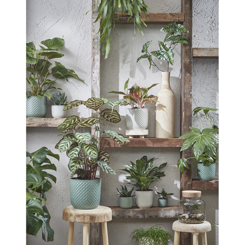 Mica Decorations Daan Bloempot - H18 x Ø19 cm - Groen