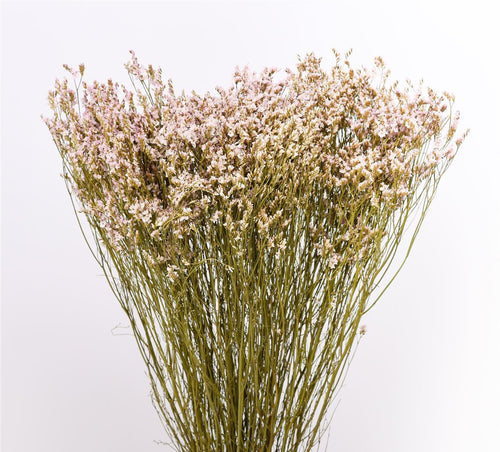 My Flowers.shop Lichtroze gedroogde Zeelavendel | Lichtroze Limonium Diamond droogbloemen  | Lengte ± 70 cm | Per 5 stelen - vtwonen shop