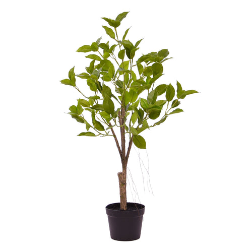 Maxifleur Ficus Natasja Kunst Bonsai 60cm groen
