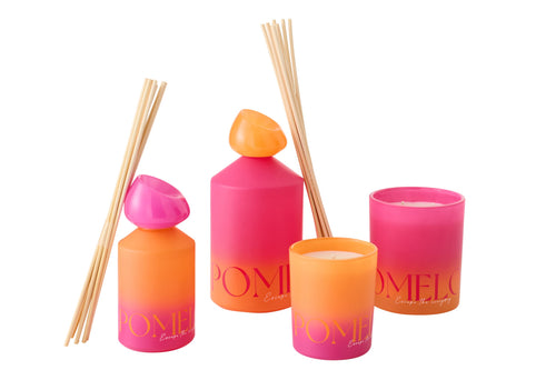 J-Line geurstokjes Oasis Oplosmiddel - Summer In The Air - glas - oranje/roze - large