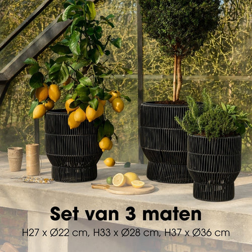 Mica Decorations Peta Bloempot op Standaard voor Buiten – Set van 3 – Plantenpot voor Bloemen en Buitenplanten – Bloempotten voor Buiten – Zwart